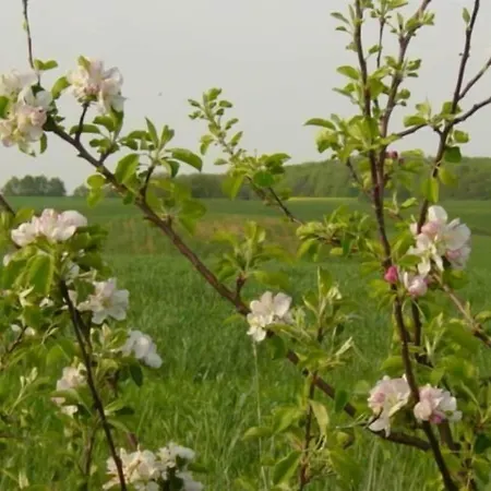 Seeresidenz アパートホテル